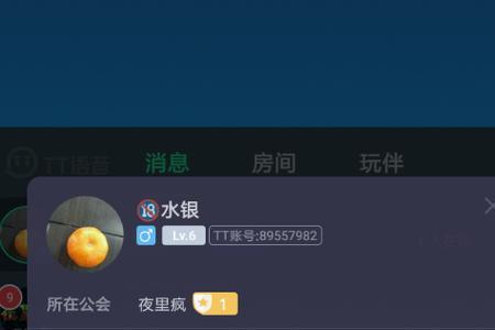 tt语音显示麦克风被占用怎么回事