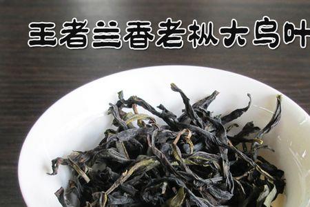 非凡茶属什么茶