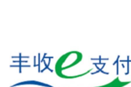 e支付是什么