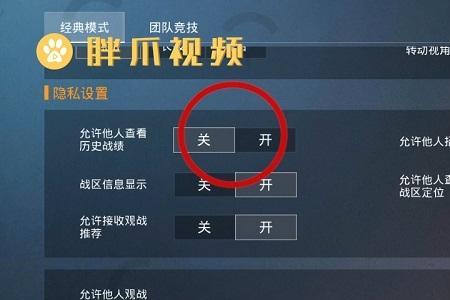 和平精英怎么把巡查取消