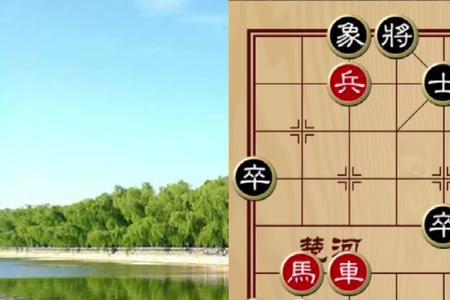 象棋神3-3是什么级别