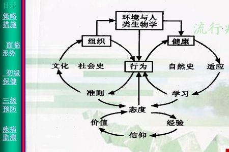 宏观生态系统什么意思