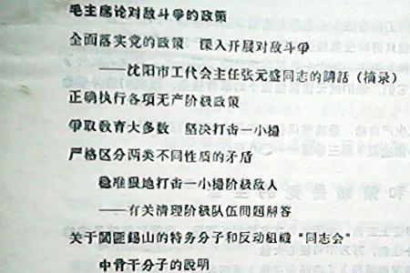 敌特分子是什么