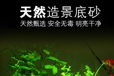 放在鱼缸里的彩石有毒吗