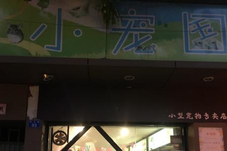 文具店可以卖小仓鼠吗