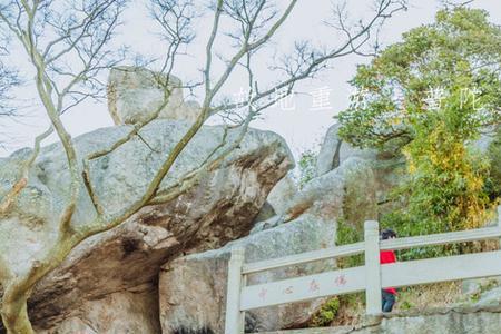 普陀山遇到蝴蝶什么意思