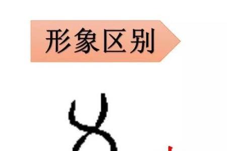 麦鱼的同音字