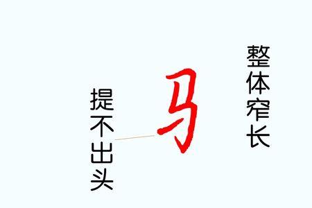 马字偏旁组词