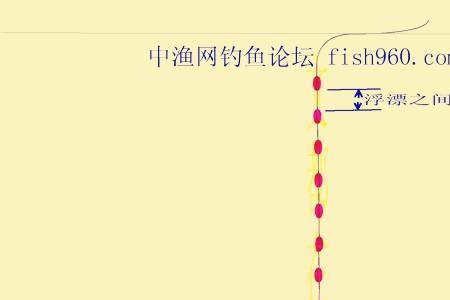 七星漂钓鲢鳙线组