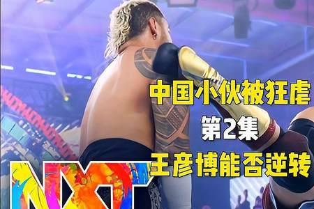 wwe王彦博是哪里人