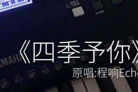 驾照歌曲抖音最火的