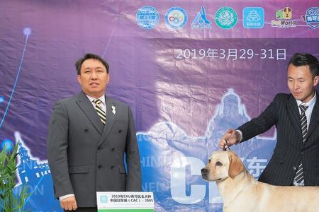 金圣犬舍和地中海犬舍哪个好