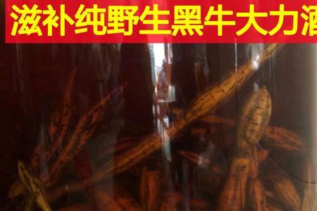 牛大力酒要加什么材料