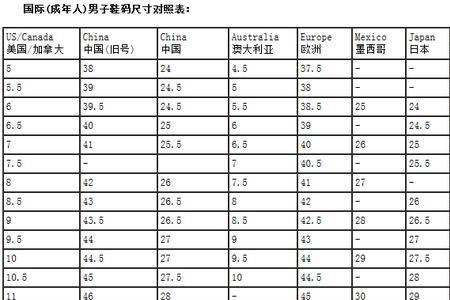 chn鞋码245是多少厘米