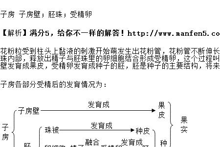 花受精的过程