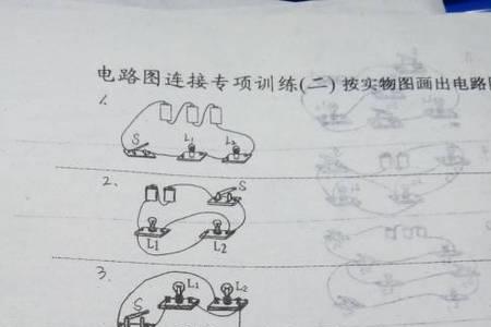 数学物理画画适合什么系