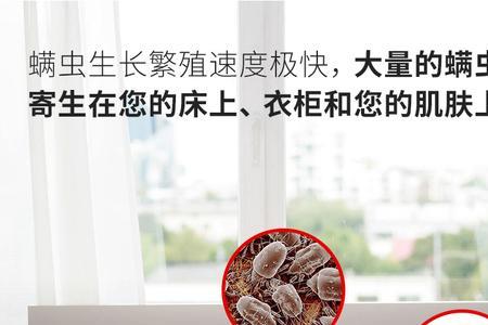 除螨包应该放在什么位置