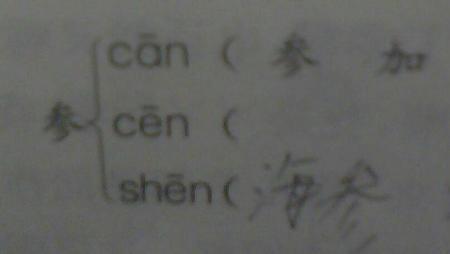 塞多音字组词