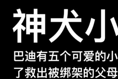 为什么神犬小巴迪系列不见了