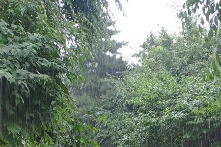 冒着大雨的词句