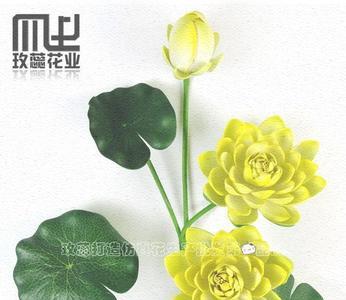 大莲花什么意思