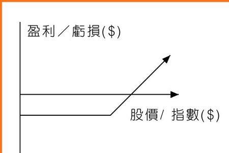 期货的put是什么