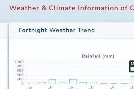 一天下1000毫米的雨是啥概念