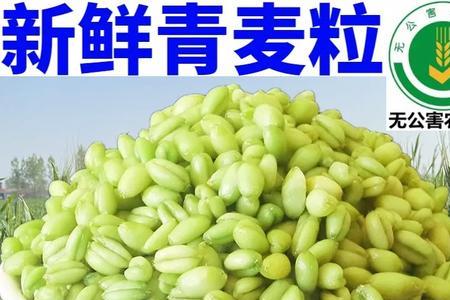 麦粒和麦仁有区别吗