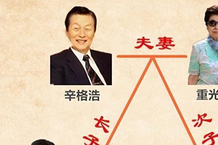 亲兄弟可以开一家家族公司么