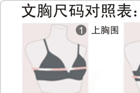 衣服36是什么号