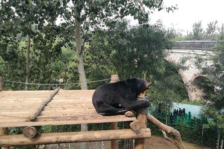 济南野生动物园有沙池吗