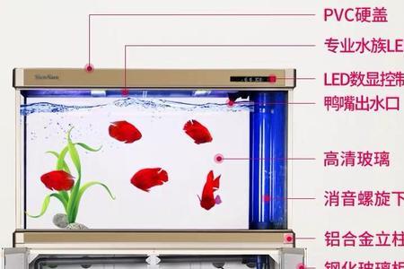 森森和佳璐那个水族箱好