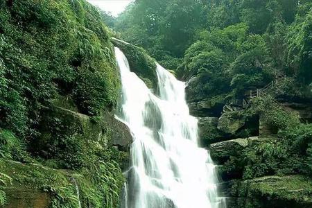 青城后山和大飞水哪里凉快