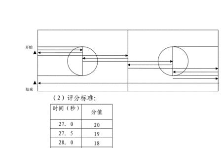 起跳摸高标准对照表