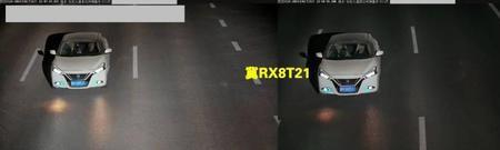 车牌号095怎么样