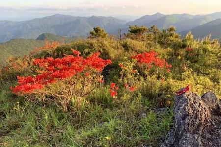 乌洋山的由来