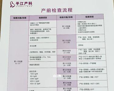 产检统筹支付是什么意思