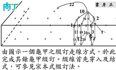 缀的演化