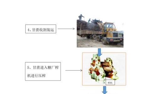 白糖怎么转化成燃料