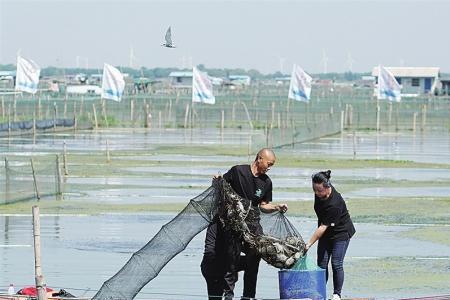 阳澄湖属于哪个上市公司