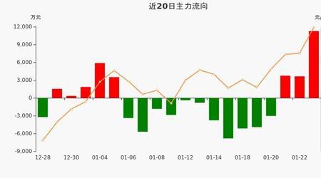 一周净流入新高什么意思