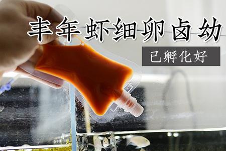 丰年虾500ml水放多少卵