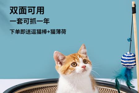 猫咪护玩具怎么办