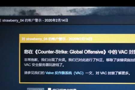 csgo鼠标宏会封吗