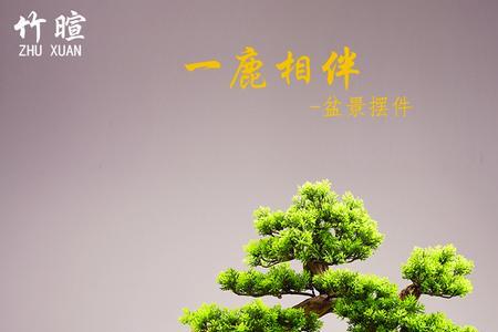 迎客松盆景绑扎多久可以定型