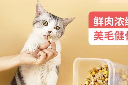 凯特斯猫咪冻干怎么样