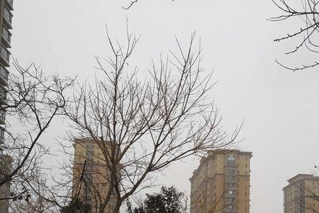 雪花飞在屋顶上像什么