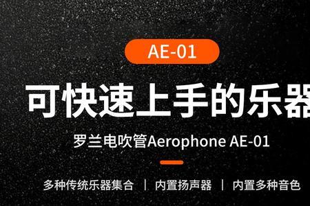 罗兰ae01电吹管能储存音色吗