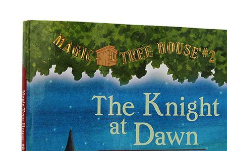 the knight at dawn读后感