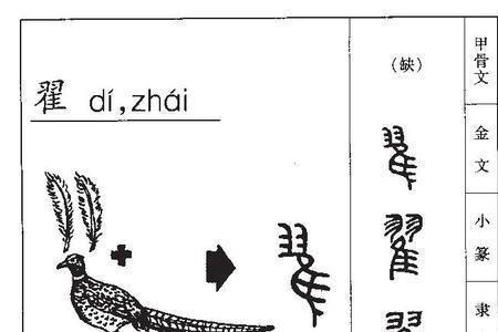 竖心旁加翟什么字